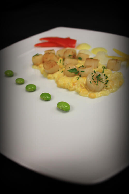 7 scallop and corn - lauren cerullo