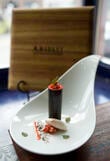 090408_salamander_55
